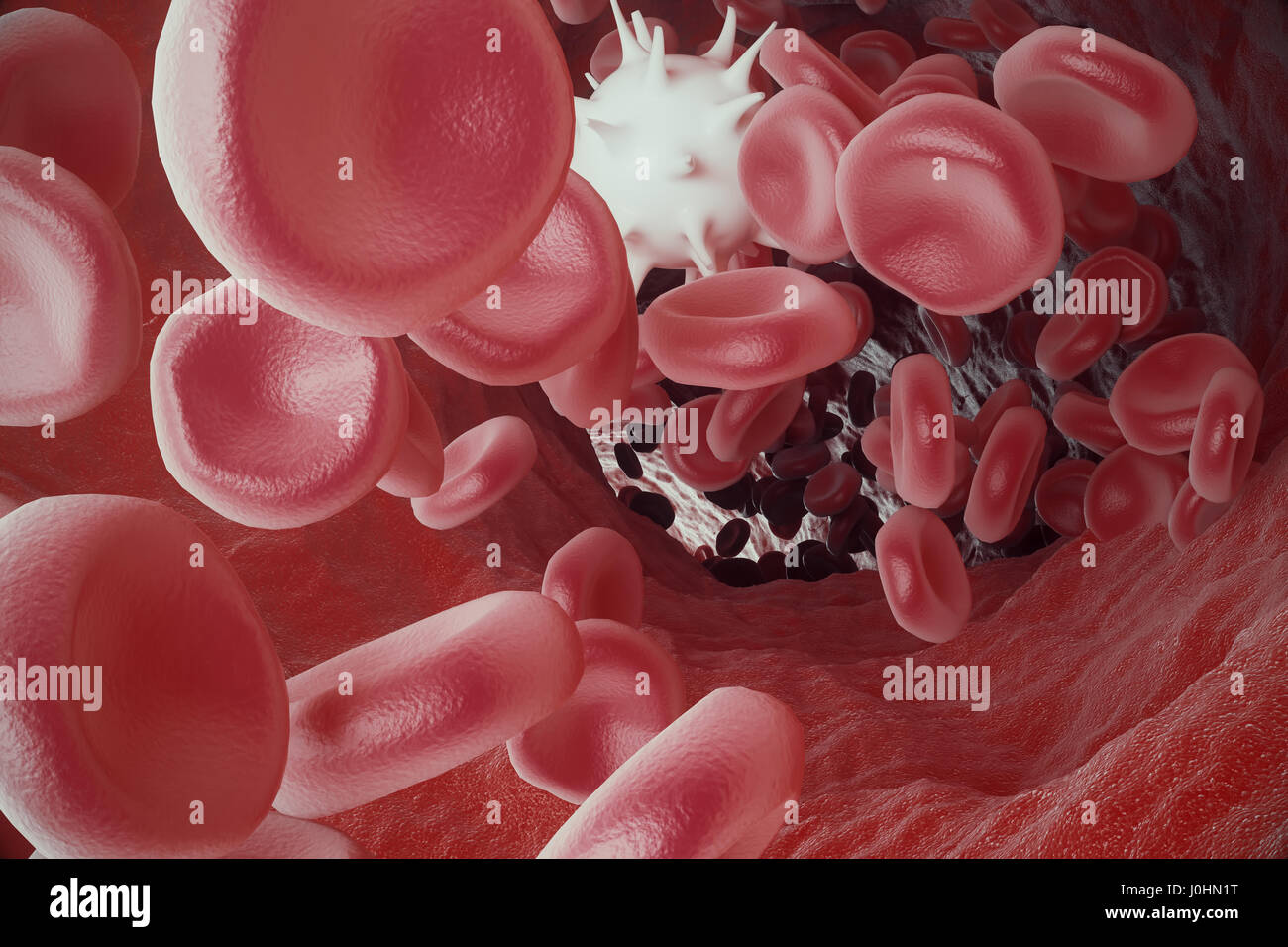 Globule blanc entre les globules rouges du sang, le débit de l'artère ou de la veine insice, 3D Rendering Banque D'Images