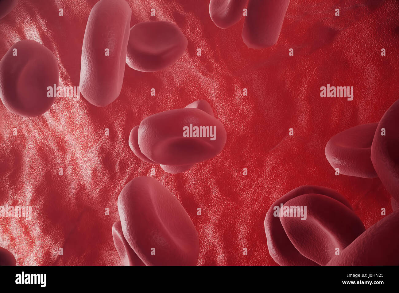 Les globules rouges : responsable de plus de transport de l'oxygène, pH du sang, une régulation de l'alimentation et la protection des cages d'un organisme. Le rendu 3D Banque D'Images