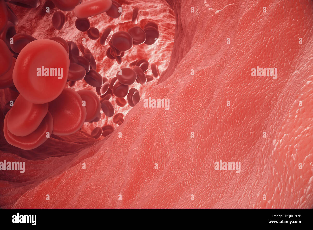 Dans les cellules rouges du sang, de l'artère à l'intérieur du corps, les soins de santé médical concept, 3D Rendering Banque D'Images