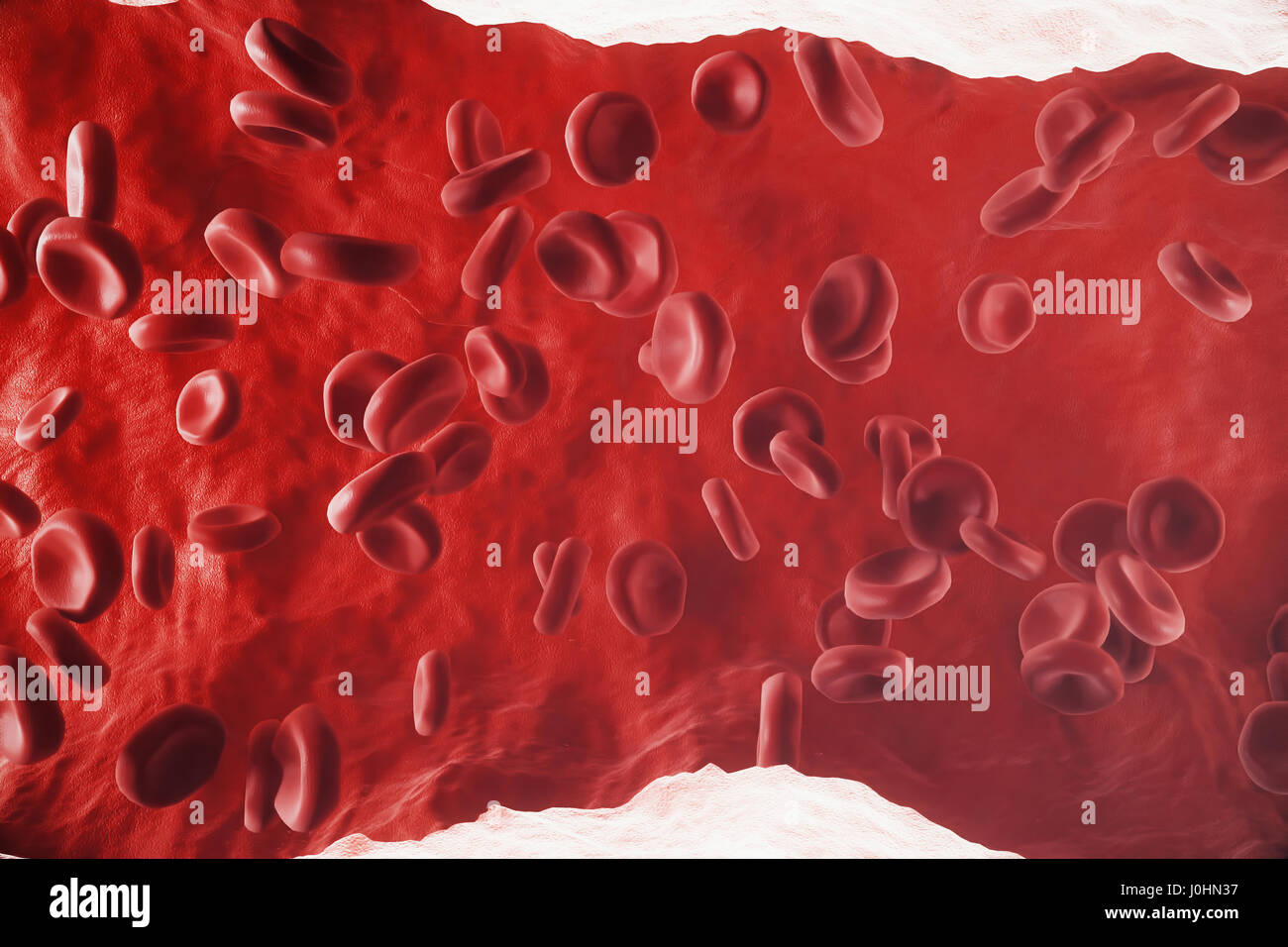 Les globules rouges en veine ou artère, à l'intérieur à l'intérieur d'un organisme vivant, 3D Rendering Banque D'Images