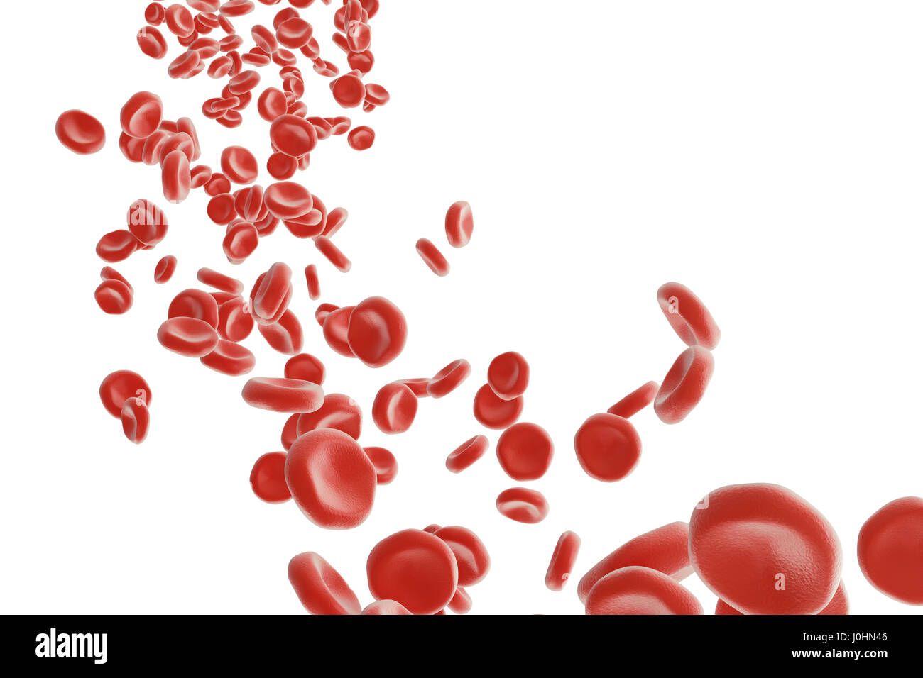 Les globules rouges : responsable de plus de transport de l'oxygène, pH du sang, une régulation de l'alimentation et la protection des cages d'un organisme. Le rendu 3D isolated on white backgorund Banque D'Images