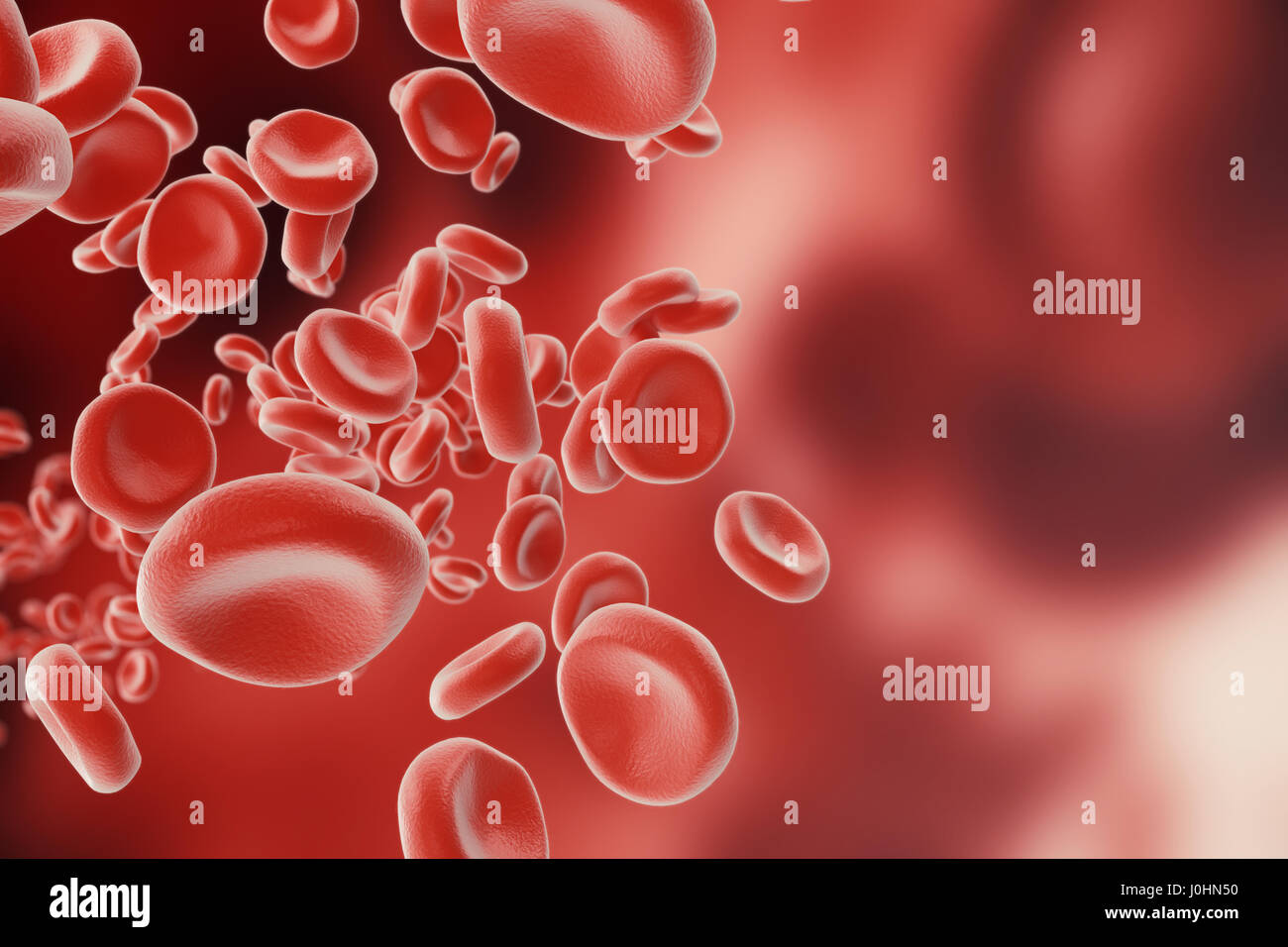Dans les cellules rouges du sang, de l'artère à l'intérieur du corps, les soins de santé médical concept, 3D Rendering Banque D'Images