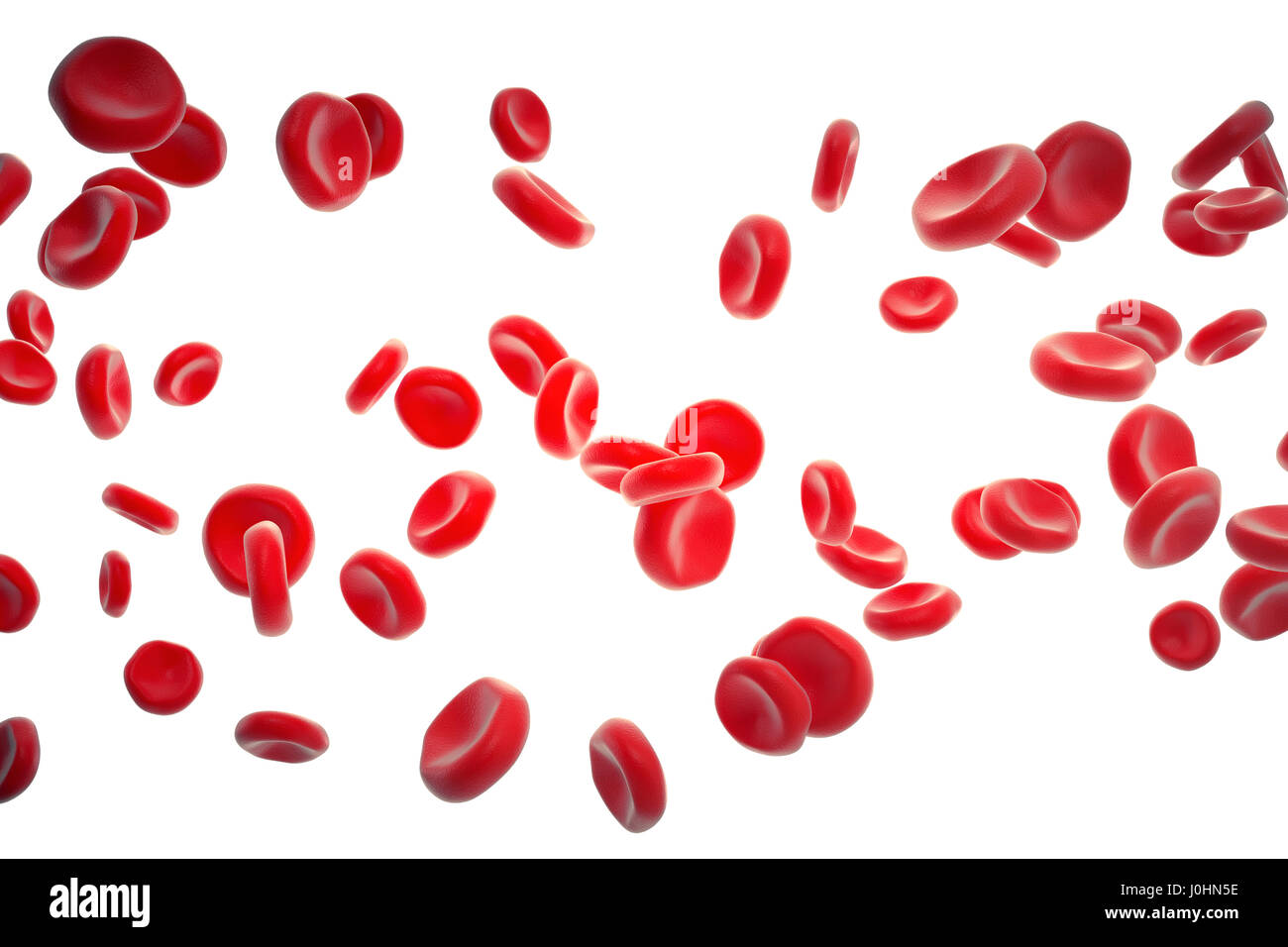 Dans les cellules rouges du sang, de l'artère à l'intérieur, corps médical concept les soins de santé, rendu 3D isolé sur fond blanc Banque D'Images