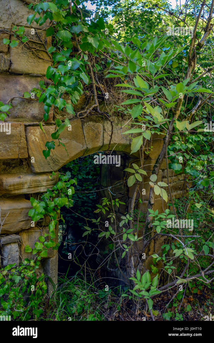 D'un passage envahi par la structure médiévale ruinée à Najac, Occitanie, France. Banque D'Images