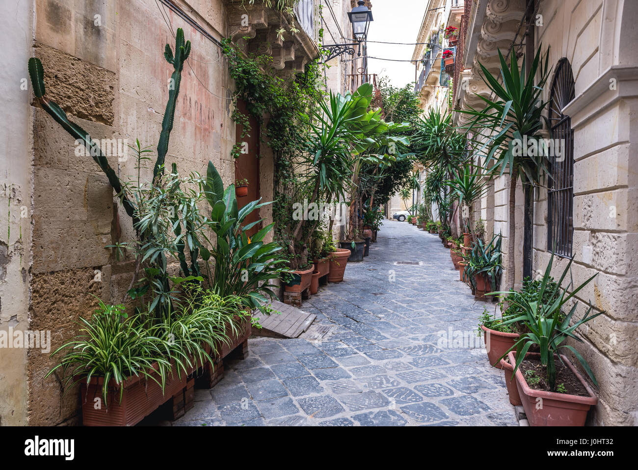Plantes vertes sur une rue étroite sur l'île d'Ortygie, partie historique de la ville de Syracuse, l'angle sud-est de l'île de la Sicile, Italie Banque D'Images