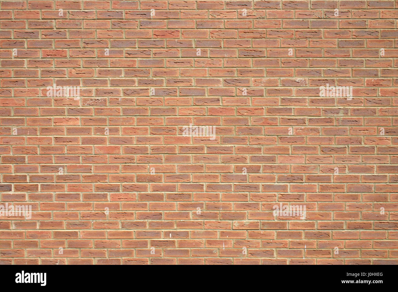 La construction d'un mur de brique démontrant d'un certain nombre de types de mur de brique rouge à brun-jaune et blanc Banque D'Images