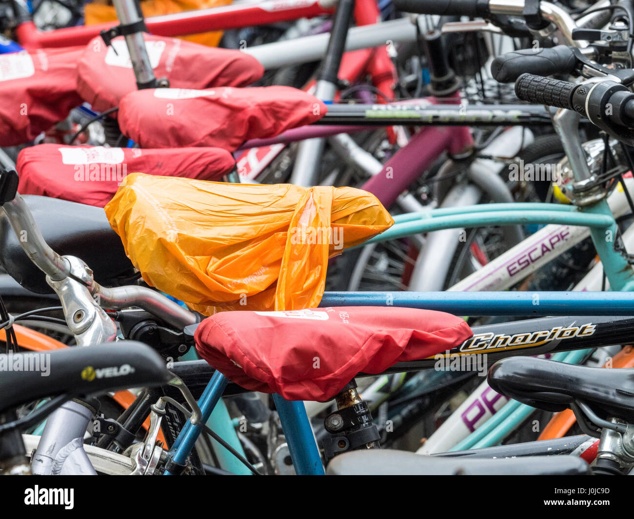 Vélos étudiant parqué dans Cambridge, Royaume-Uni. Les sièges sont protégés de la pluie par des couvercles amovibles. Banque D'Images
