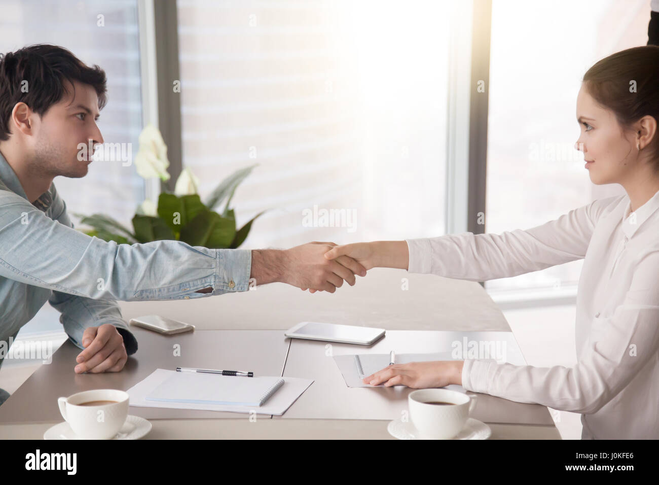 Businessman and businesswoman shaking hands. Accord d'entreprise Banque D'Images