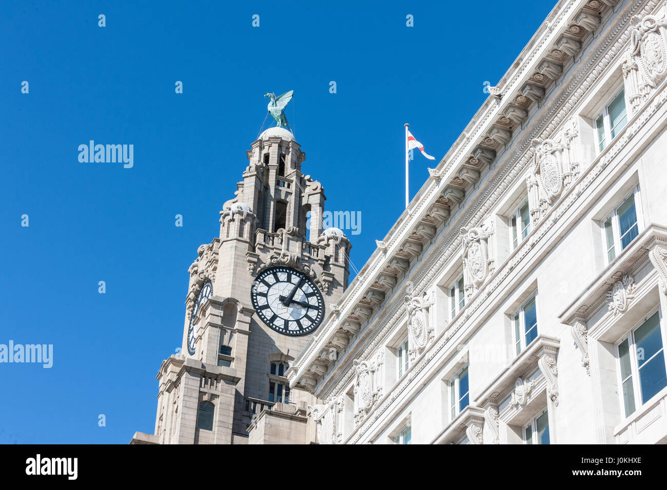 Royal Liver Building,oiseaux,réveil foie,St Georges d'un drapeau,Liverpool, Merseyside, Angleterre,UNESCO,Ville du patrimoine mondial,Ville,Nord,Nord,Angleterre,English,UK. Banque D'Images