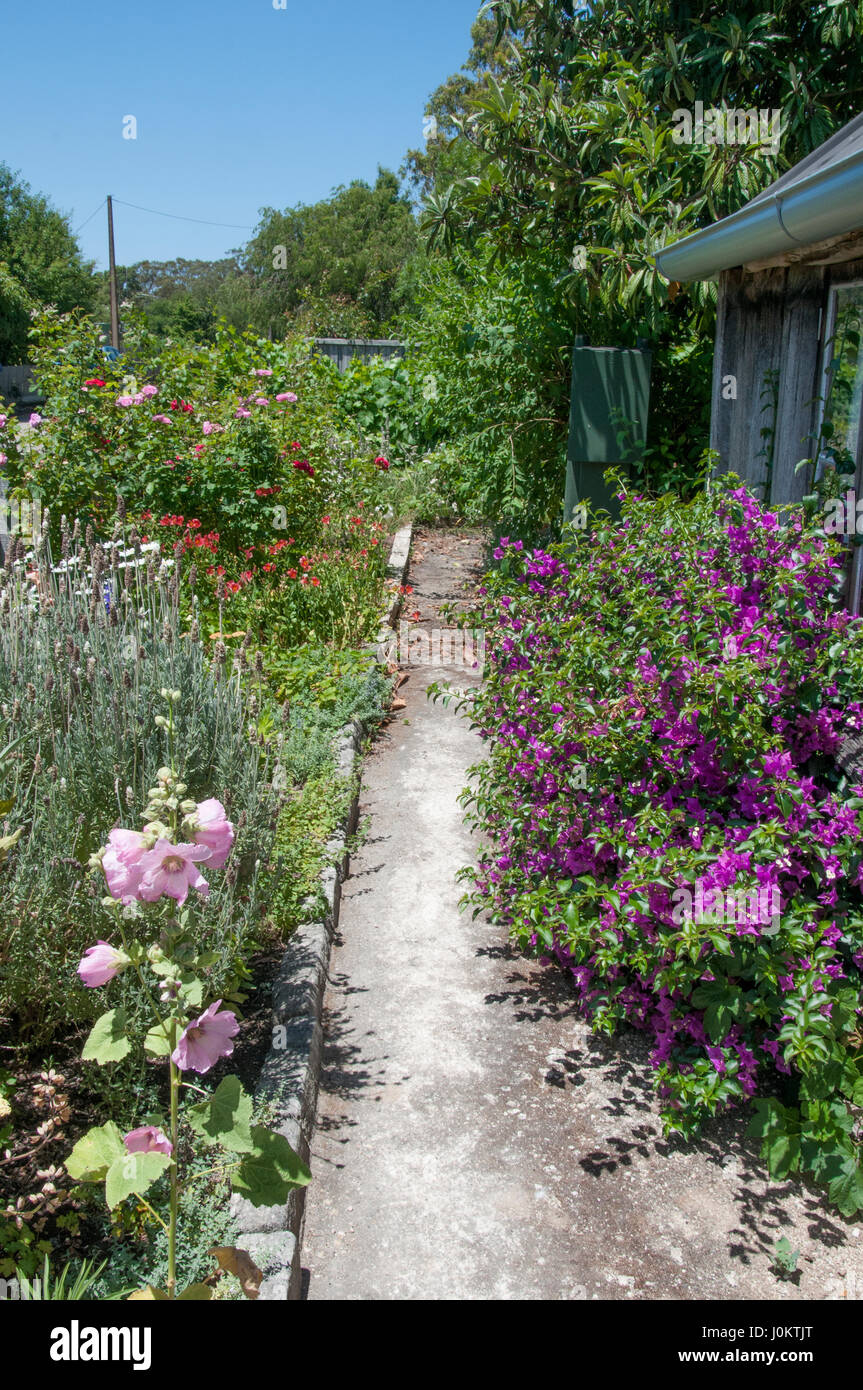 Chalet jardin lors de l'historique Sharam Cottages en jupon Lane, Penola, Australie du Sud Banque D'Images