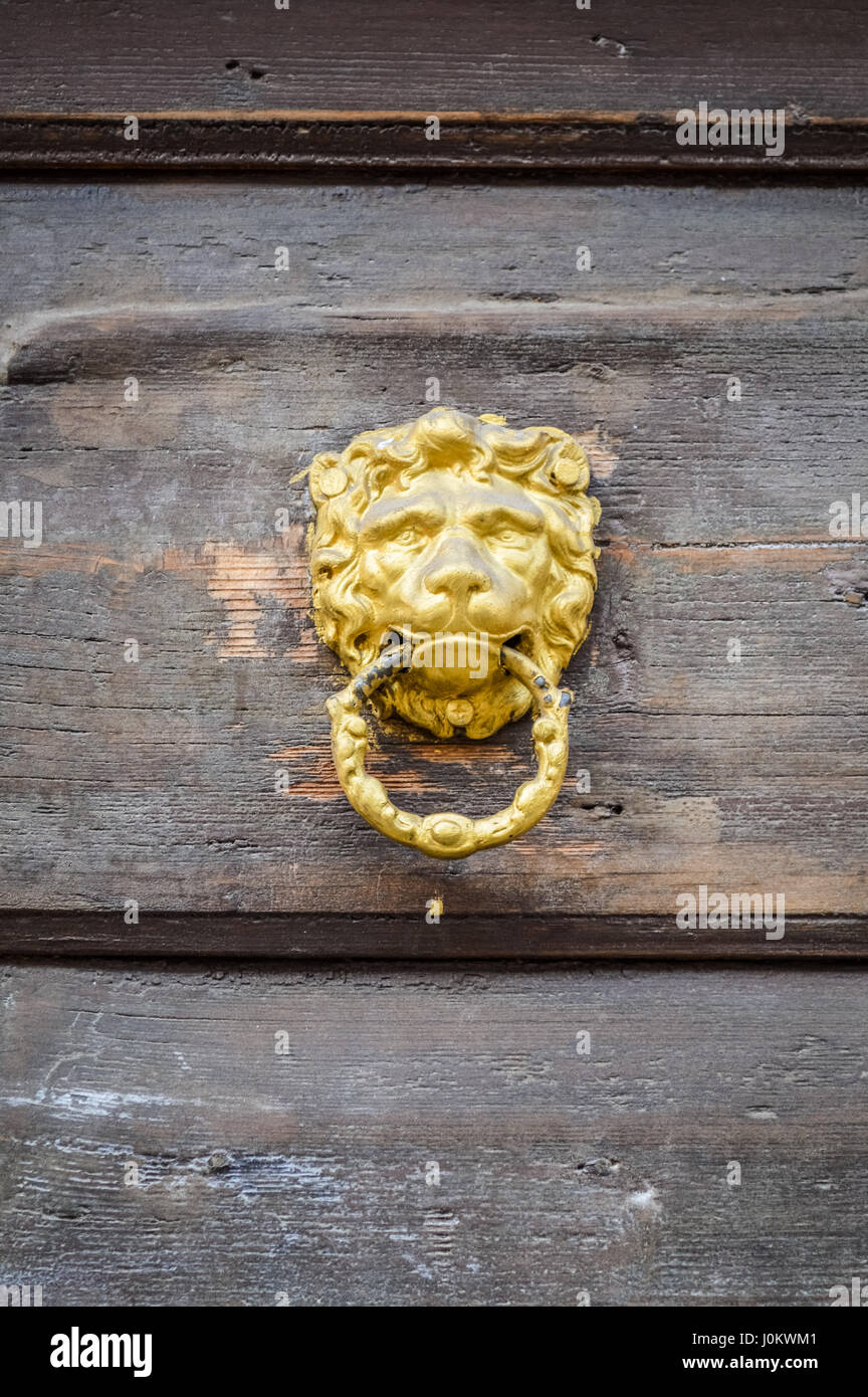 Golden Lion Heurtoir sur une porte en bois libre Banque D'Images