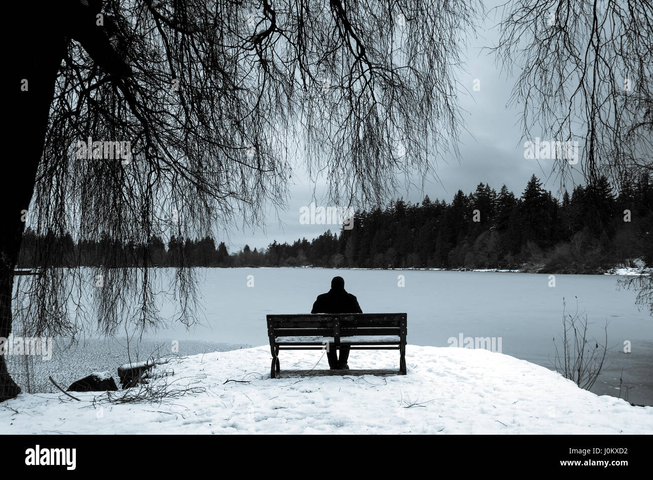L'homme en noir, assise seule sur un banc de parc en plus de neige à la lagune gelée avec de grands arbres. Banque D'Images