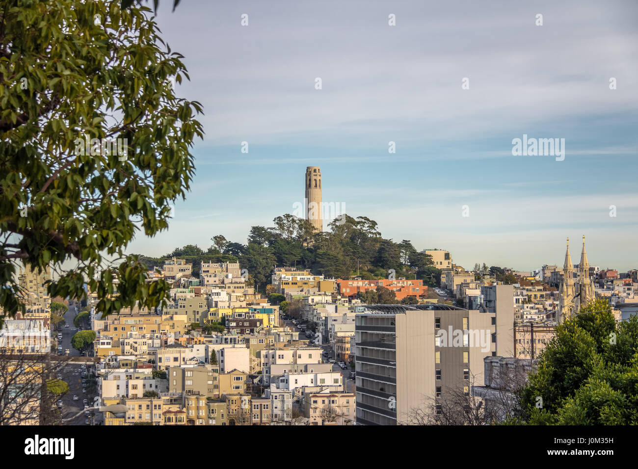 La Coit Tower et de Telegraph Hill - San Francisco, California, USA Banque D'Images