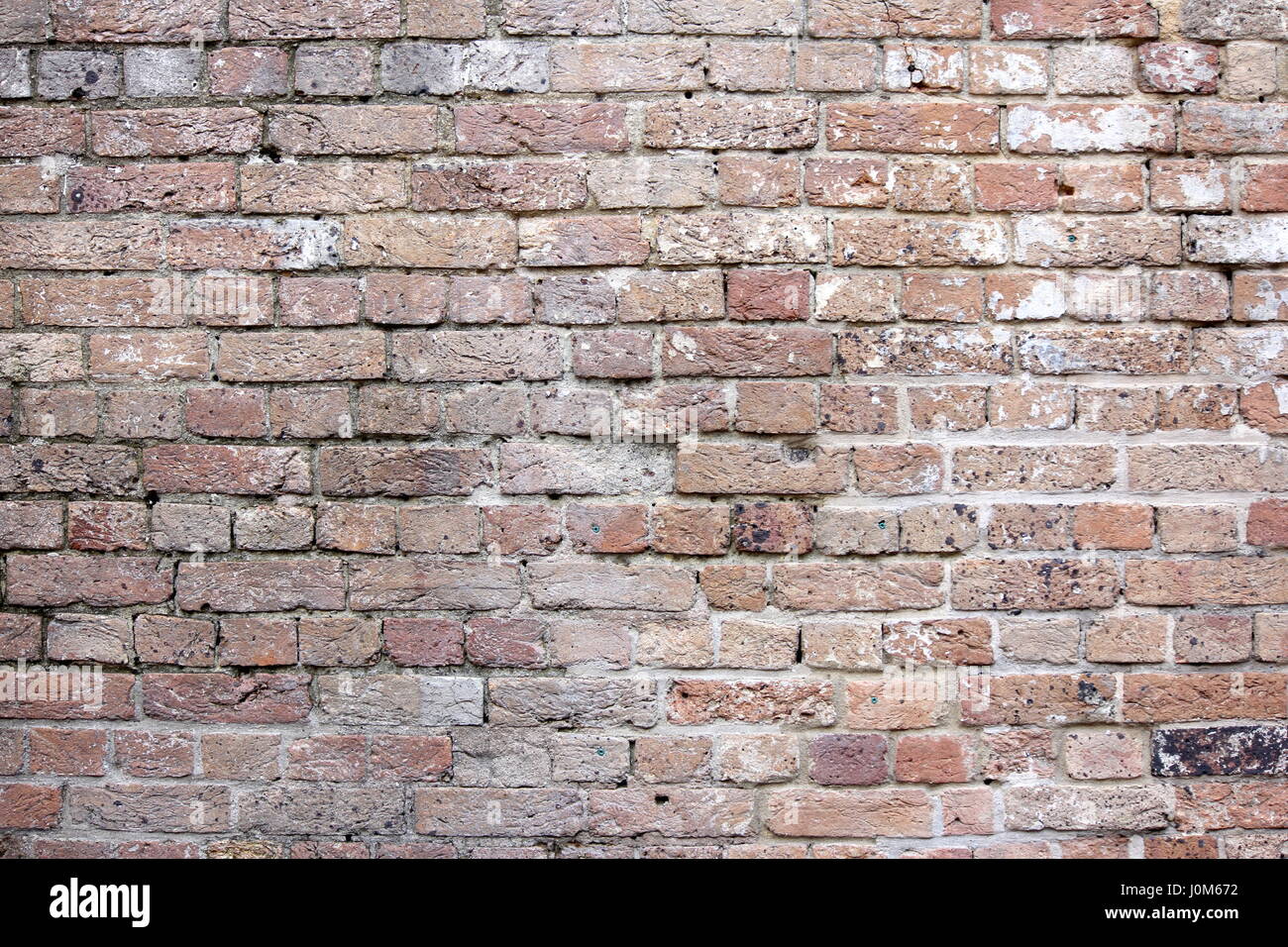 Grand mur de brique vintage pour les fonds et textures Banque D'Images