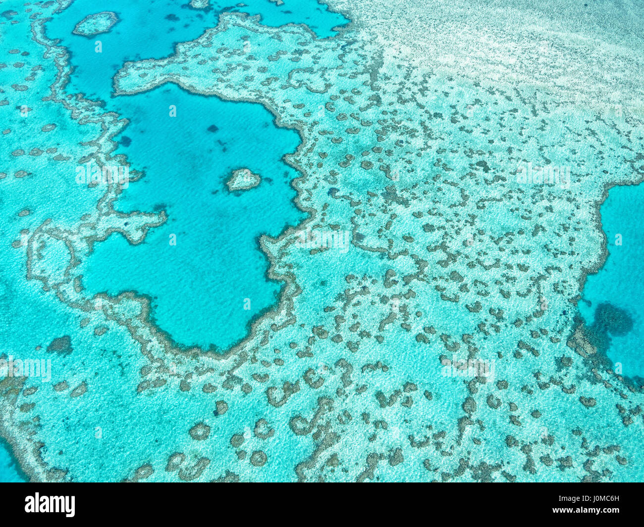 Vue aérienne de la Grande Barrière de corail en Whitsundays, Queensland, Australie Banque D'Images