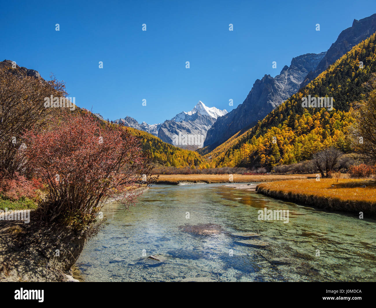 Beau paysage d'automne de Daocheng Yading Parc National. Banque D'Images