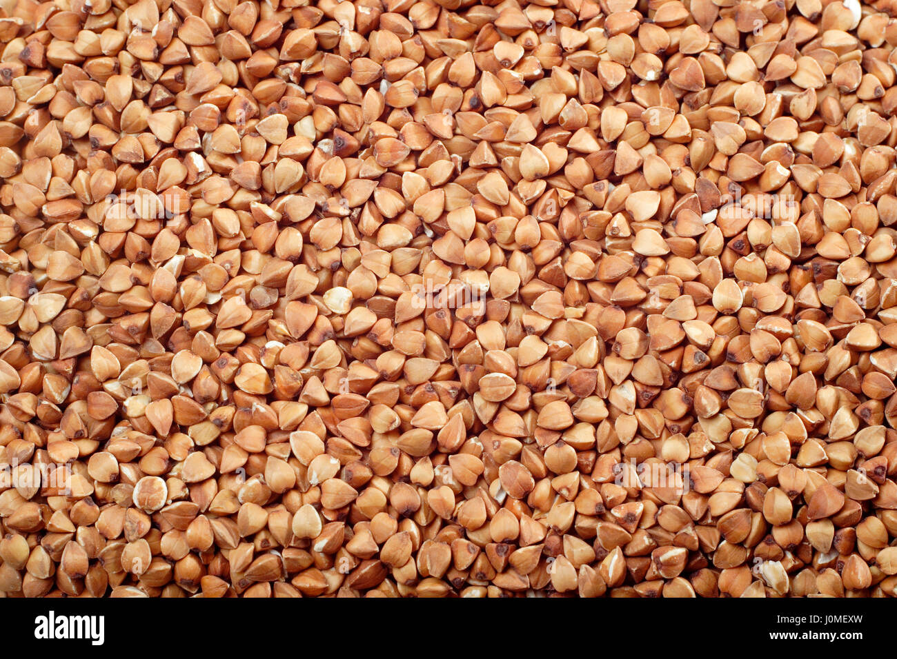 Les graines de sarrasin (Fragopyrum esculentum). Close-up. Banque D'Images