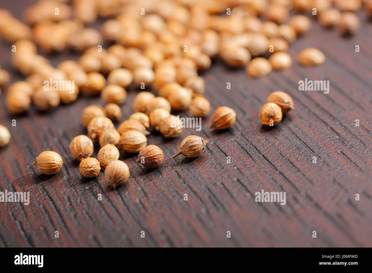 Les graines de coriandre (Coriandrum sativum) sur le tableau noir. Photo en gros plan. Banque D'Images