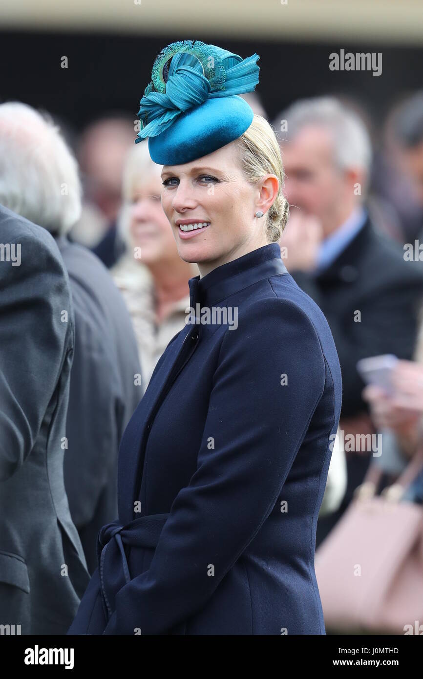 Cheltenham Festival - Jour 1 comprend : Zara Tindall, Zara Phillips Où : Cheltenham, Gloucestershire, Royaume-Uni Quand : 14 Mars 2017 Banque D'Images