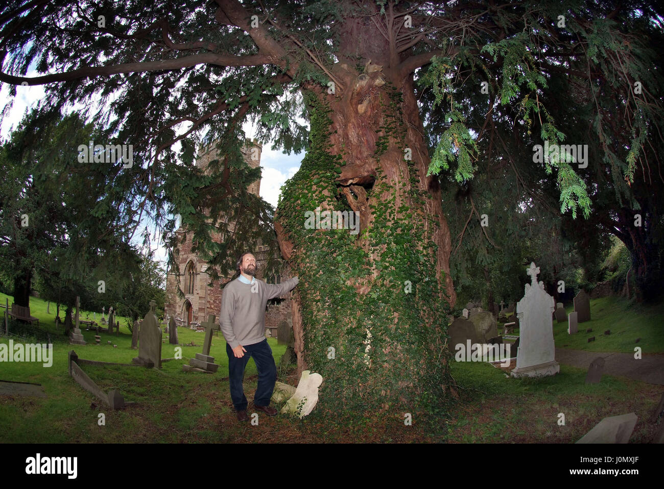 If dans le cimetière de st.Marie la Vierge churchyard, portbury, bristol avec Tim expert if hills Banque D'Images