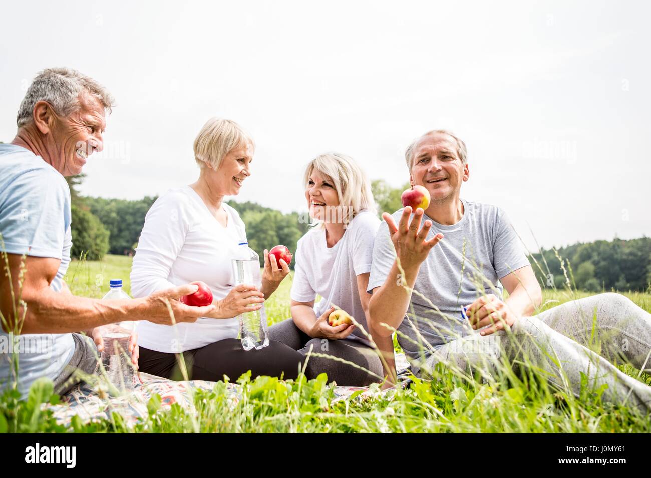 Quatre personnes assises sur l'herbe avec les pommes. Banque D'Images