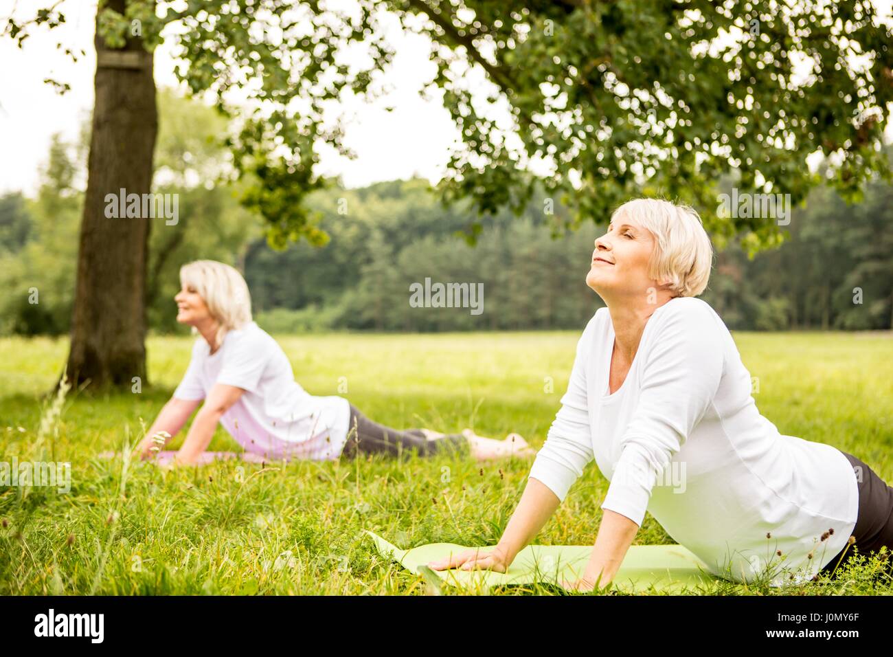 Deux femmes faisant du yoga dans le champ. Banque D'Images