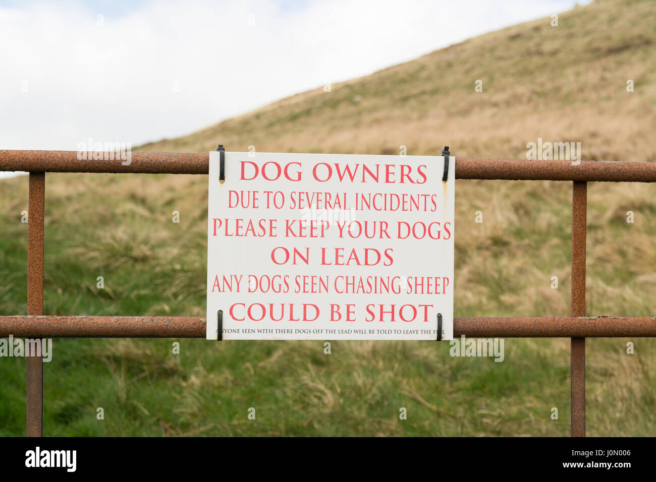 Les chiens non pas sur les leads chasing sheep warning sign on leur orthographe Banque D'Images