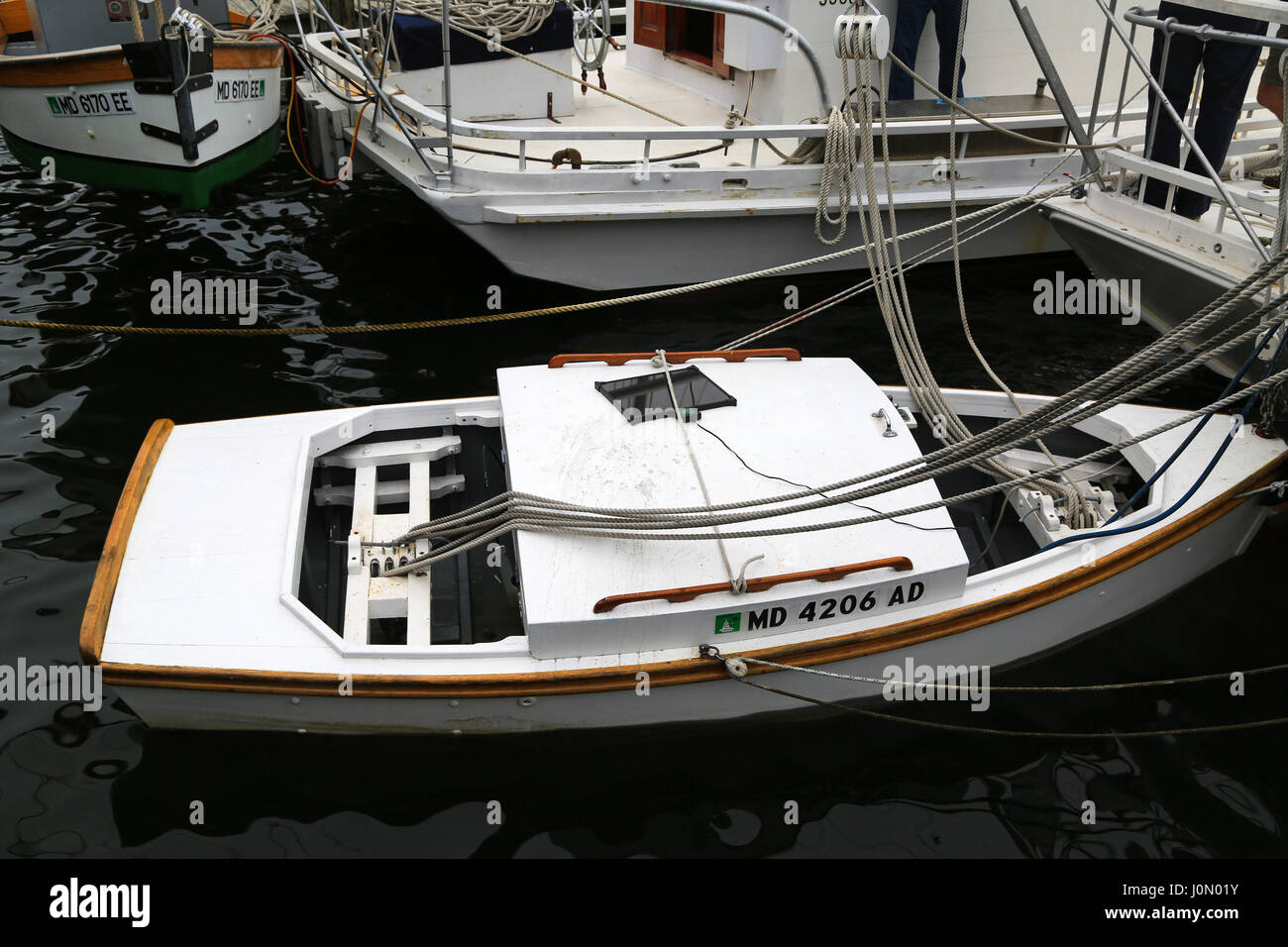 Pousser le bateau à l'arrière de la bonite Banque D'Images