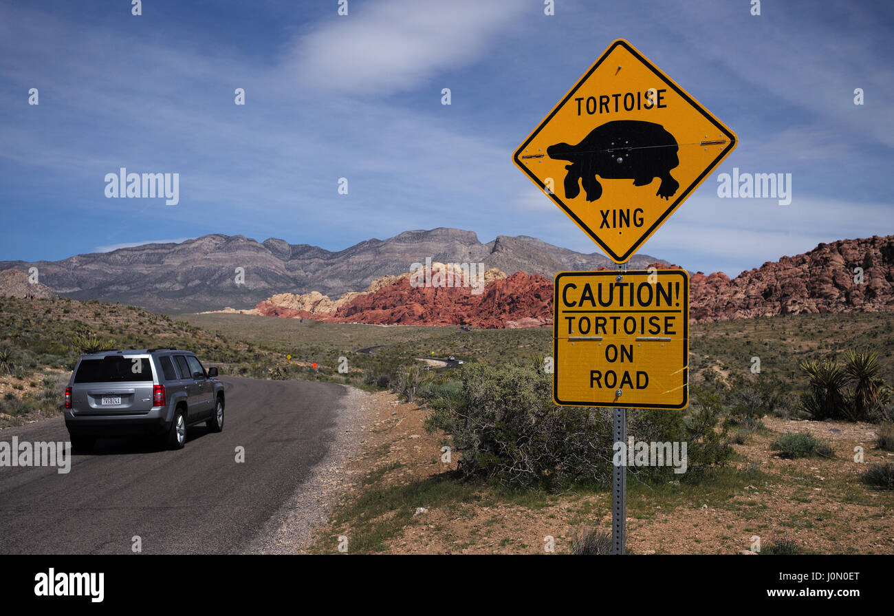 Met en garde les automobilistes de signer au passage de tortues du parc national de Red Rock au Nevada Banque D'Images