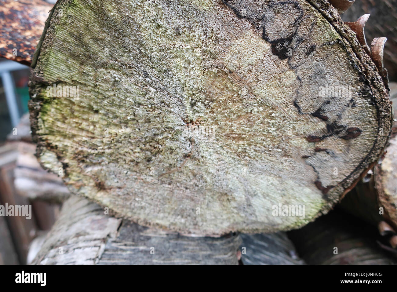 Sciage de bois burner Banque D'Images