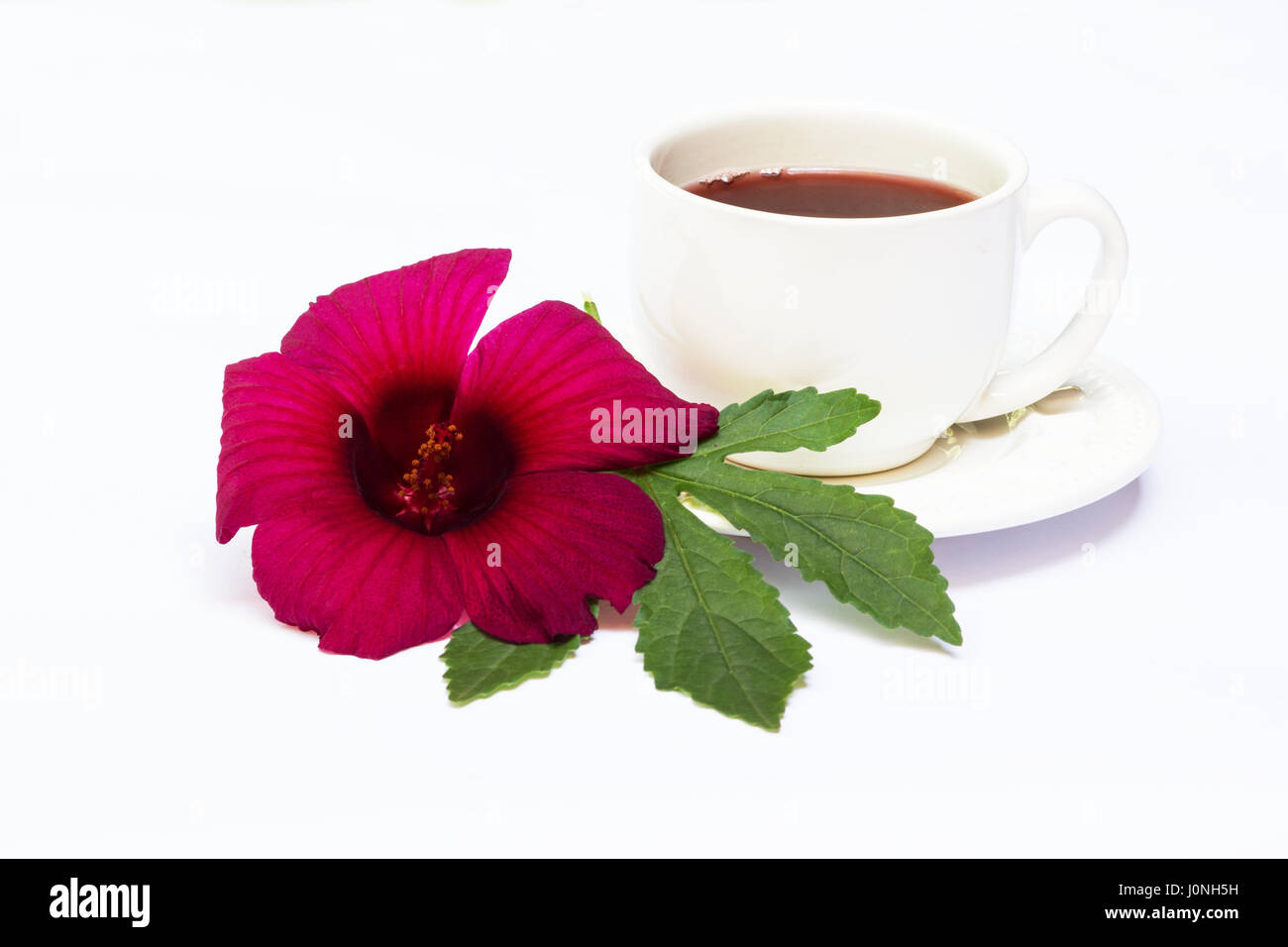 Roselle (Hibiscus Sabdariffa) et d'un plateau de fleurs sur fond blanc Banque D'Images