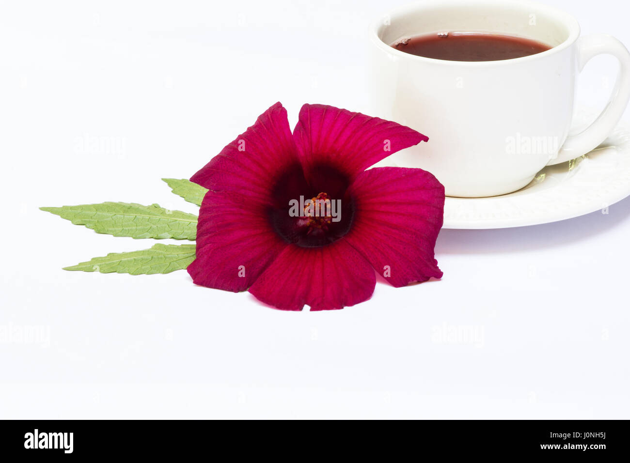 Roselle (Hibiscus Sabdariffa) et d'un plateau de fleurs sur fond blanc Banque D'Images