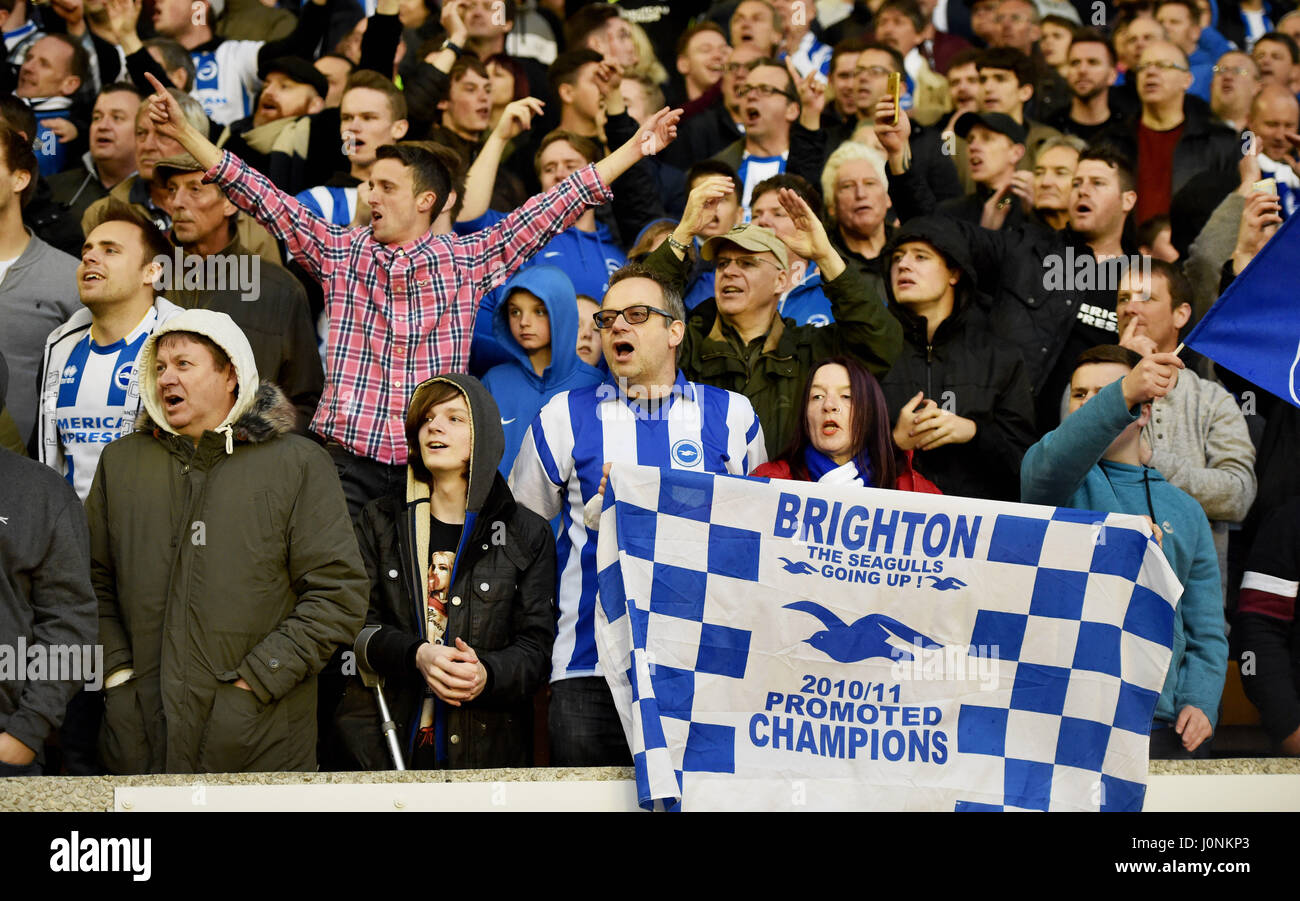 Brighton et Hove Albion football fans UK Banque D'Images