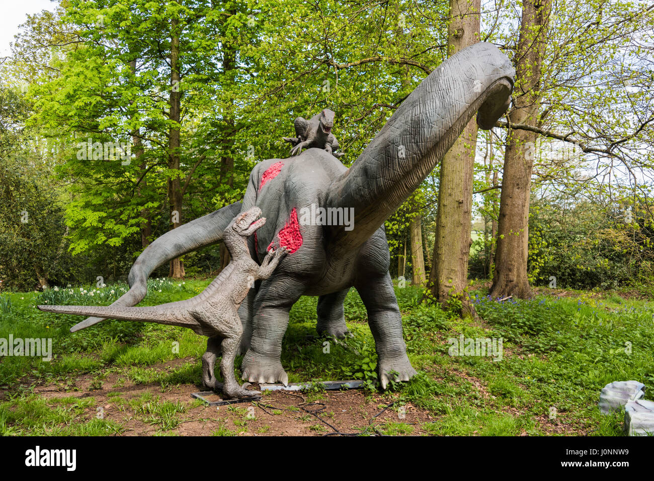 Apatosaurus & Deinonychus rapaces, Royaume du Jurassique, Osterley Park, Londres Banque D'Images