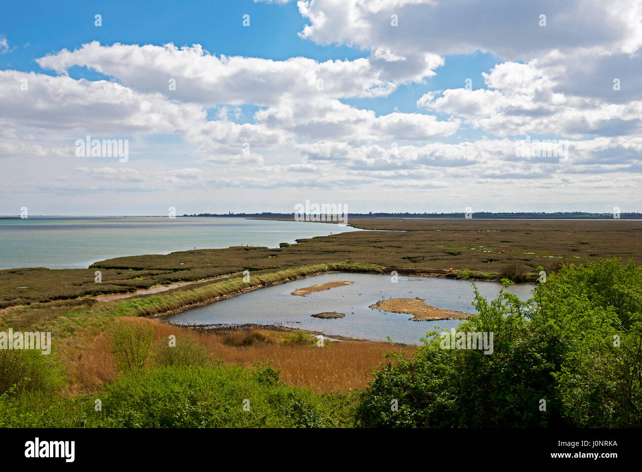 Lac à Fingringhoe Wick, une réserve naturelle dans Essex, UK Banque D'Images