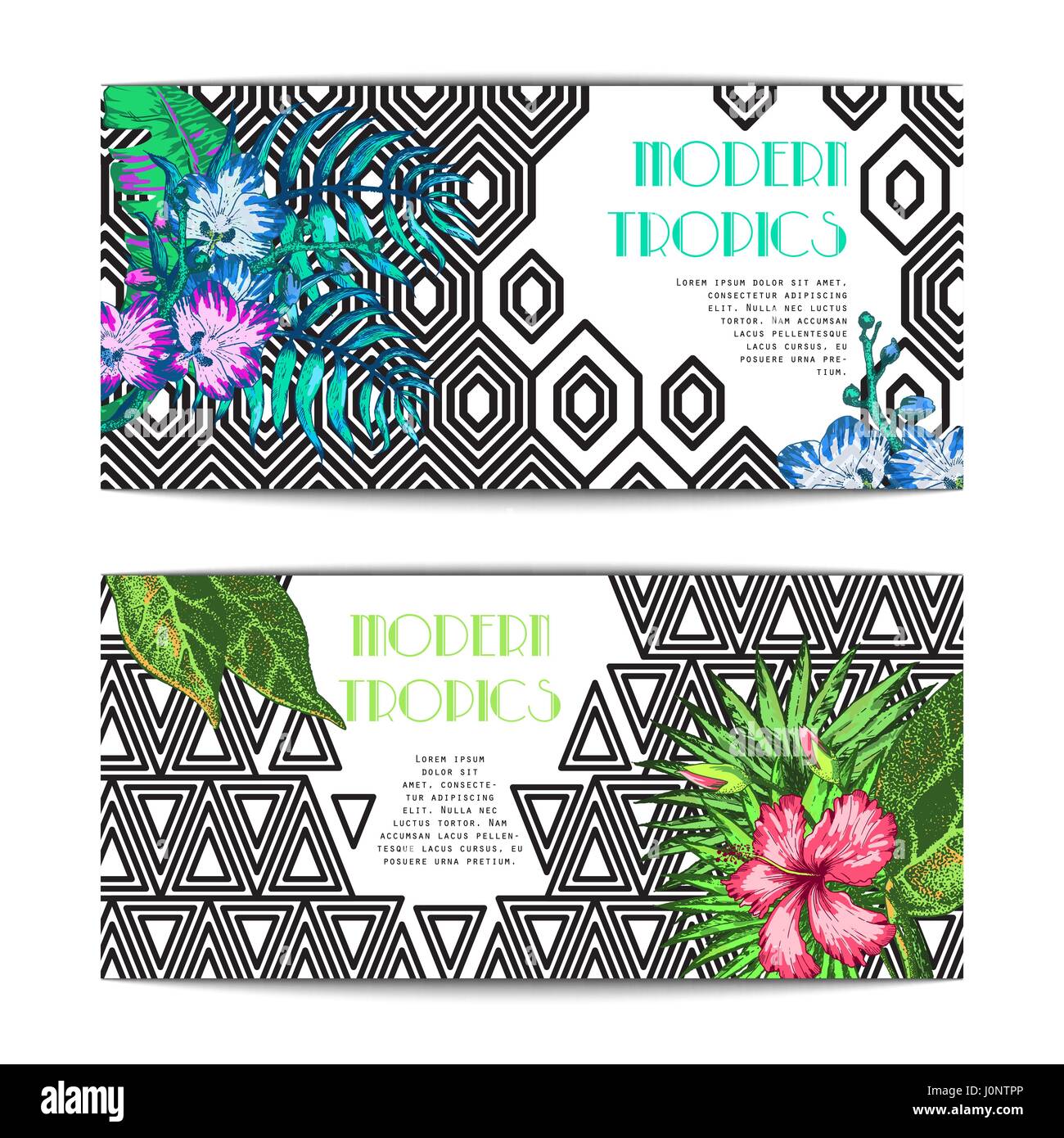 La feuille de palmier croquis11 Illustration de Vecteur