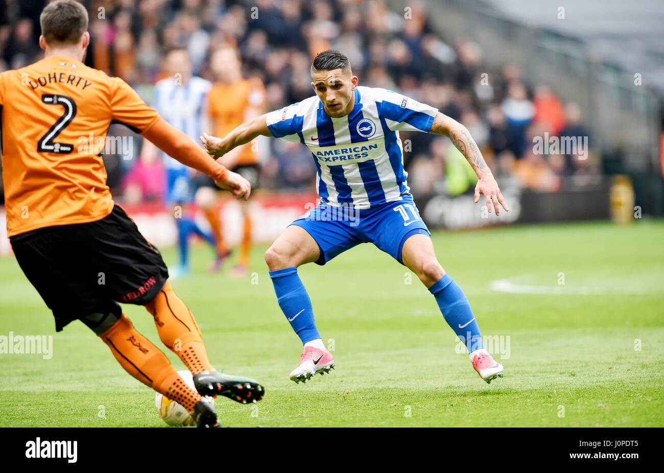 Anthony Knockaert, de Brighton, batailles pour la balle durant le match de championnat Sky Bet entre Wolverhampton Wanderers et Brighton and Hove Albion à Molineux à Wolverhampton. 14 avril, 2017. Utilisez uniquement rédactionnel Premier League et Ligue de football images sont soumis à licence DataCo voir www.football-dataco.com Banque D'Images