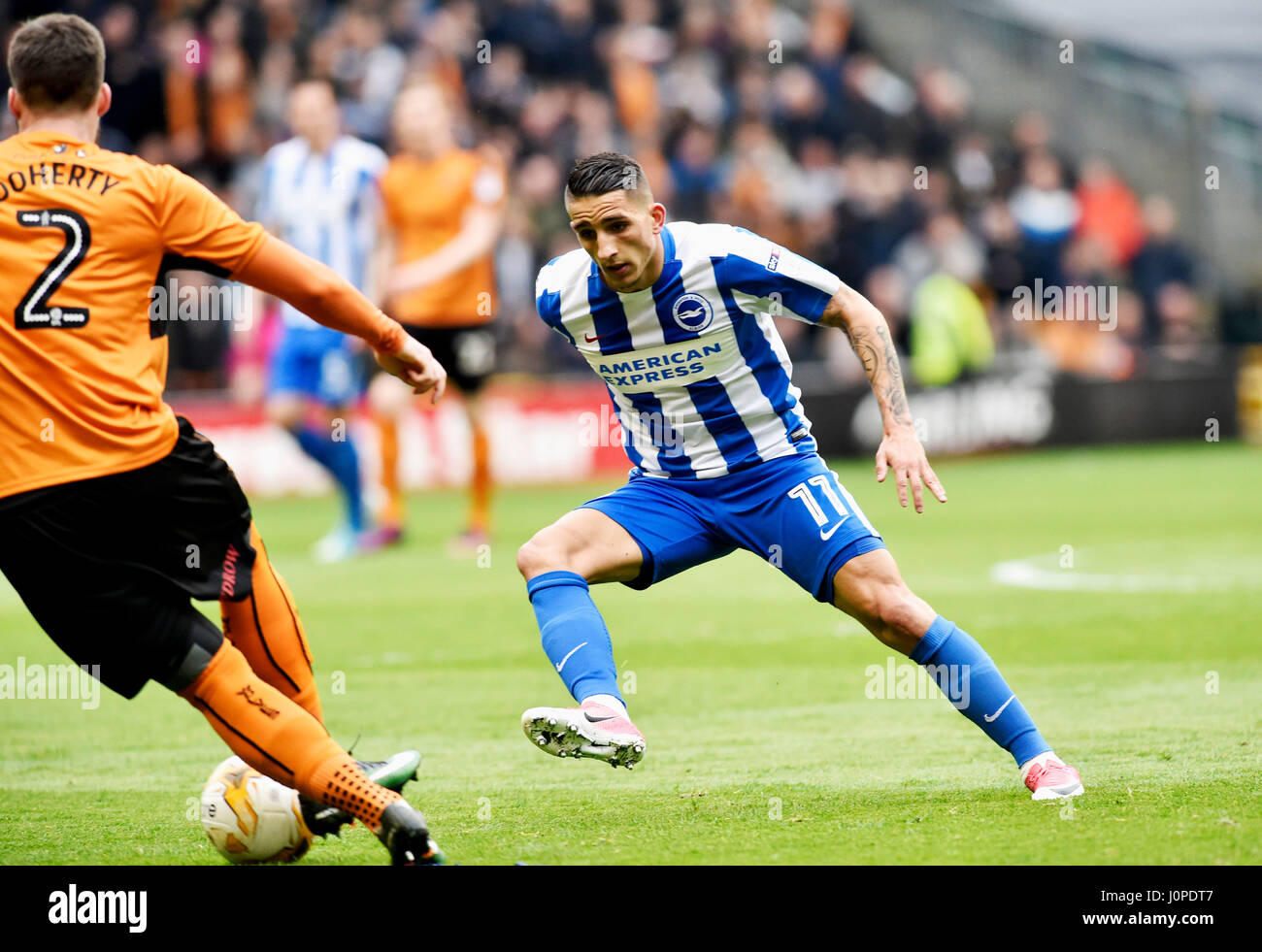 Anthony Knockaert, de Brighton, batailles pour la balle durant le match de championnat Sky Bet entre Wolverhampton Wanderers et Brighton and Hove Albion à Molineux à Wolverhampton. 14 avril, 2017. Utilisez uniquement rédactionnel Premier League et Ligue de football images sont soumis à licence DataCo voir www.football-dataco.com Banque D'Images