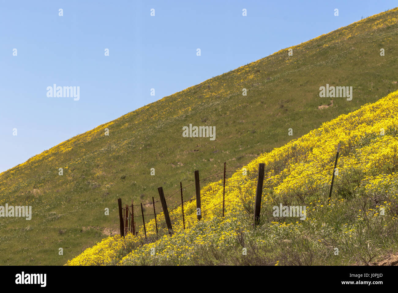 Le long de l'autoroute 58 à l'entrée de Carrizo Plain National Monument dans le San Juaquin Valley de Californie centrale. Banque D'Images