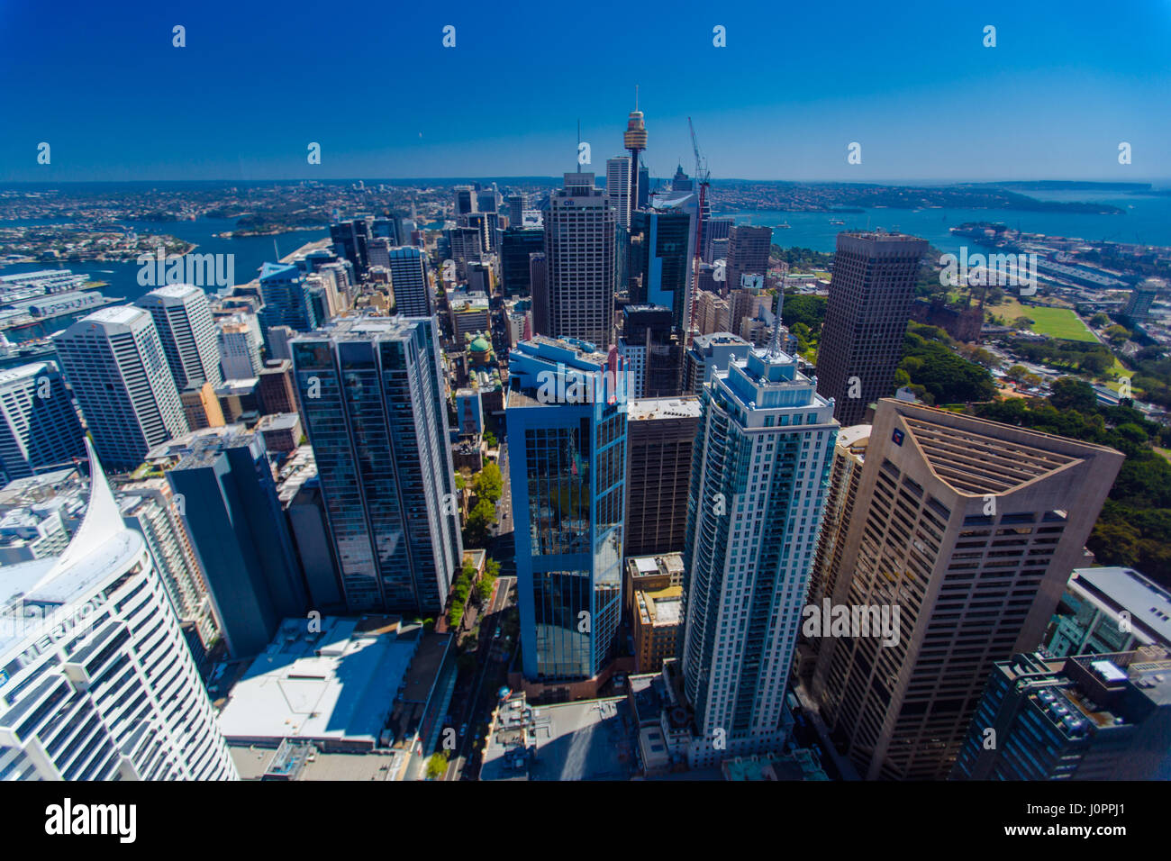 Un point de vue élevé donnant sur le CBD de Sydney Banque D'Images
