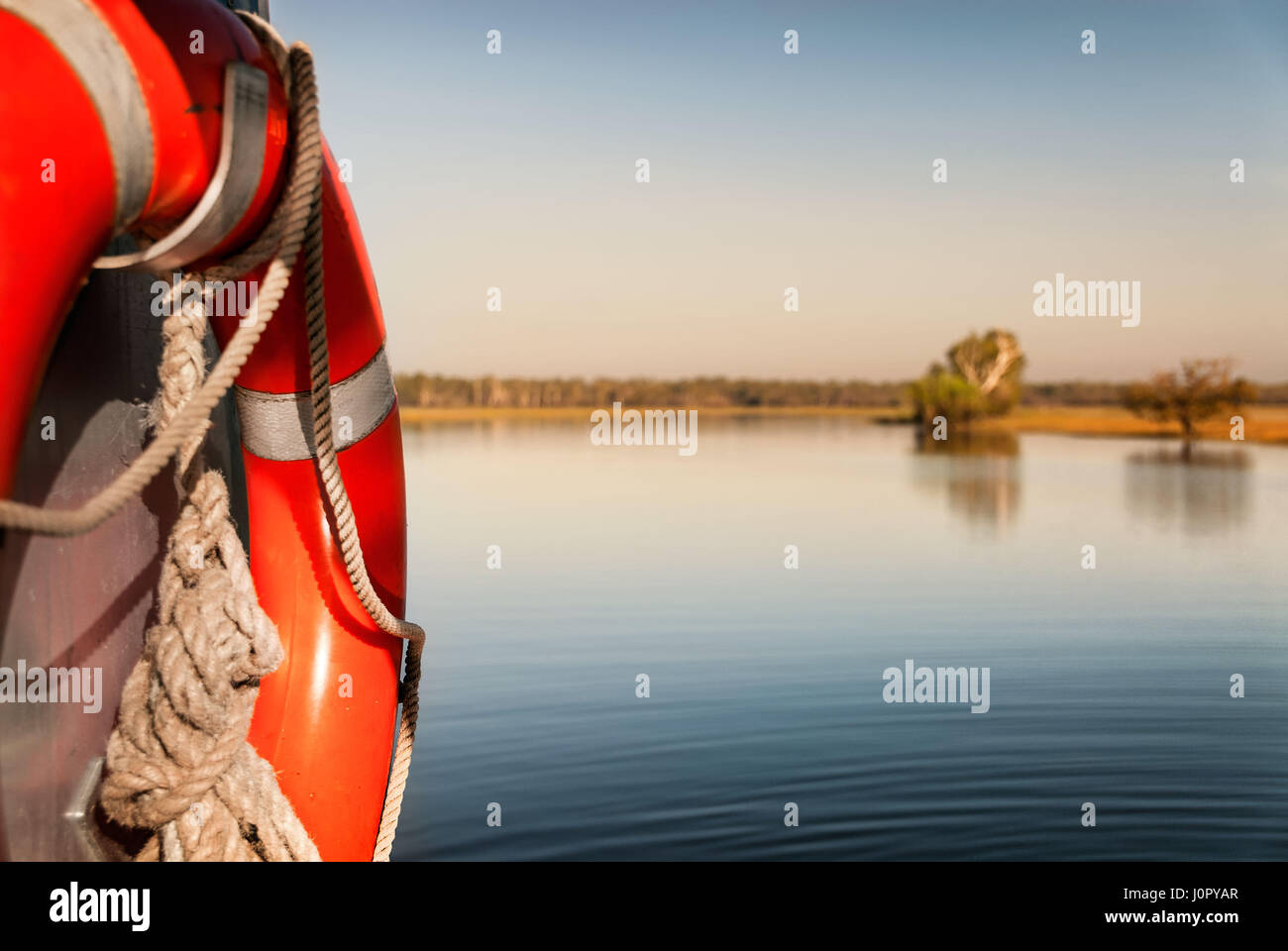 L'accent sur la salubrité de l'eau. L'eau jaune billabong en lumière d'Aube dorée, Territoires du Nord, Australie Banque D'Images