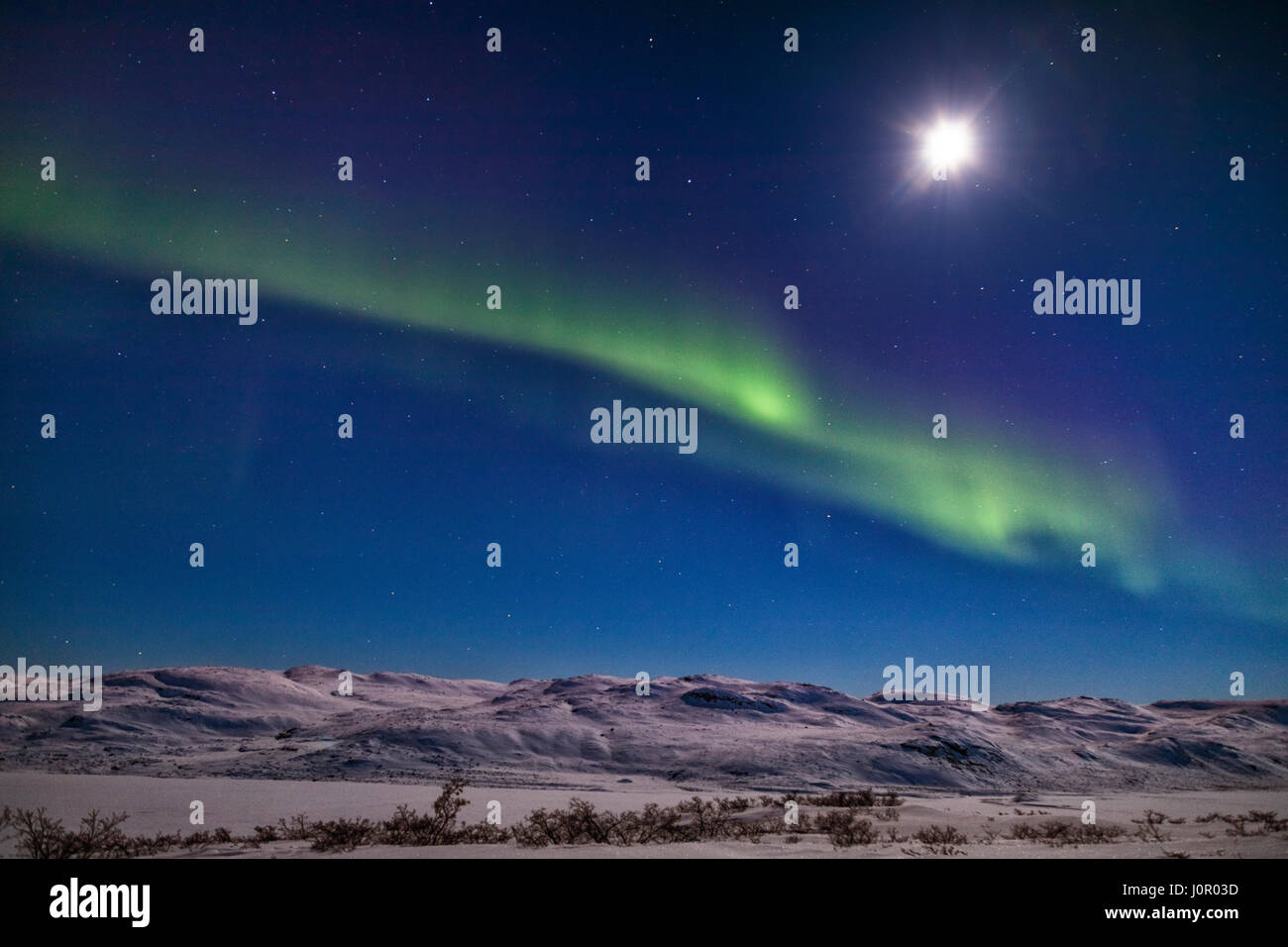 Northern Lights sur Kangerlussuaq, Cercle Arctique, Groenland, de l'Europe Banque D'Images