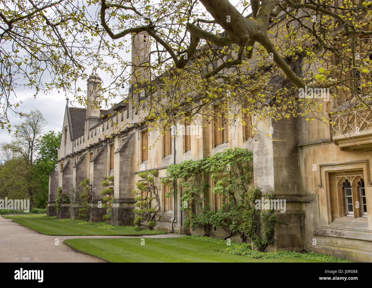 Jardins du Magdalen College Oxford University, UK Banque D'Images