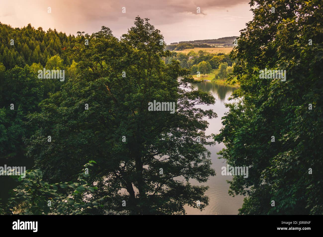 Lesnia le lac avec une forêt et les arbres en premier plan lors d'un magnifique coucher de soleil en Pologne. Banque D'Images