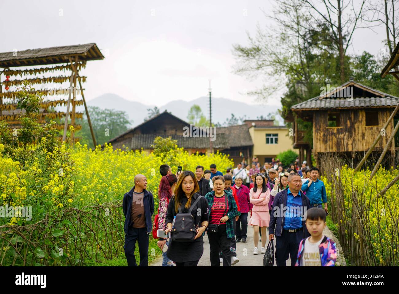 Chongqing. Apr 15, 2017. Les touristes à pied passé cole fleurs à l'endroit pittoresque de montagne dans Xiannyu Wulong District de sud-ouest de la Chine, la municipalité de Chongqing, le 15 avril 2017. District Wulong, avec son relief karstique spécifiques, est riche en ressources touristiques. Credit : Liu Chan/Xinhua/Alamy Live News Banque D'Images