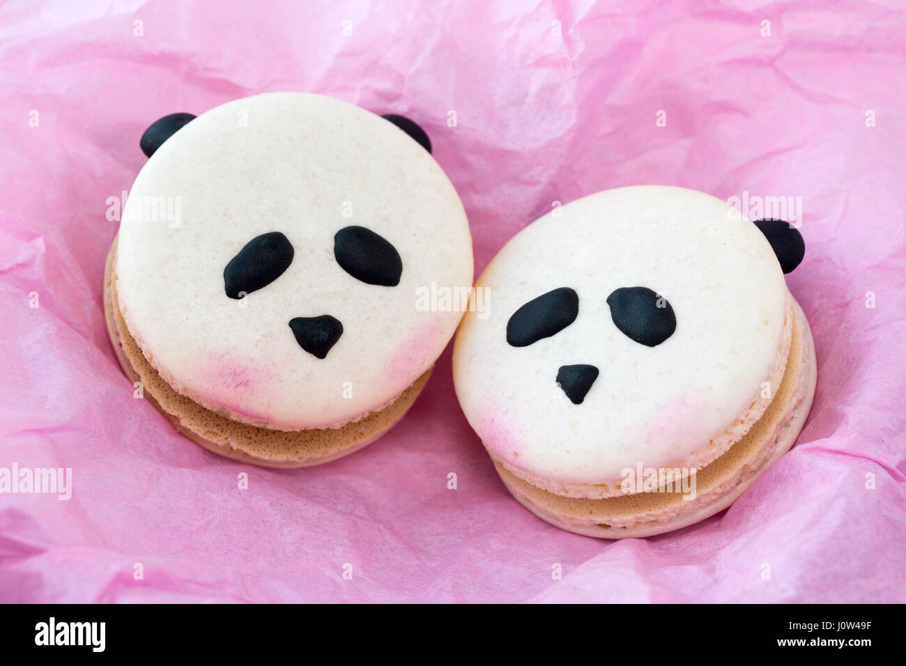 Macarons de Panda sur papier de soie rose Photo Stock - Alamy