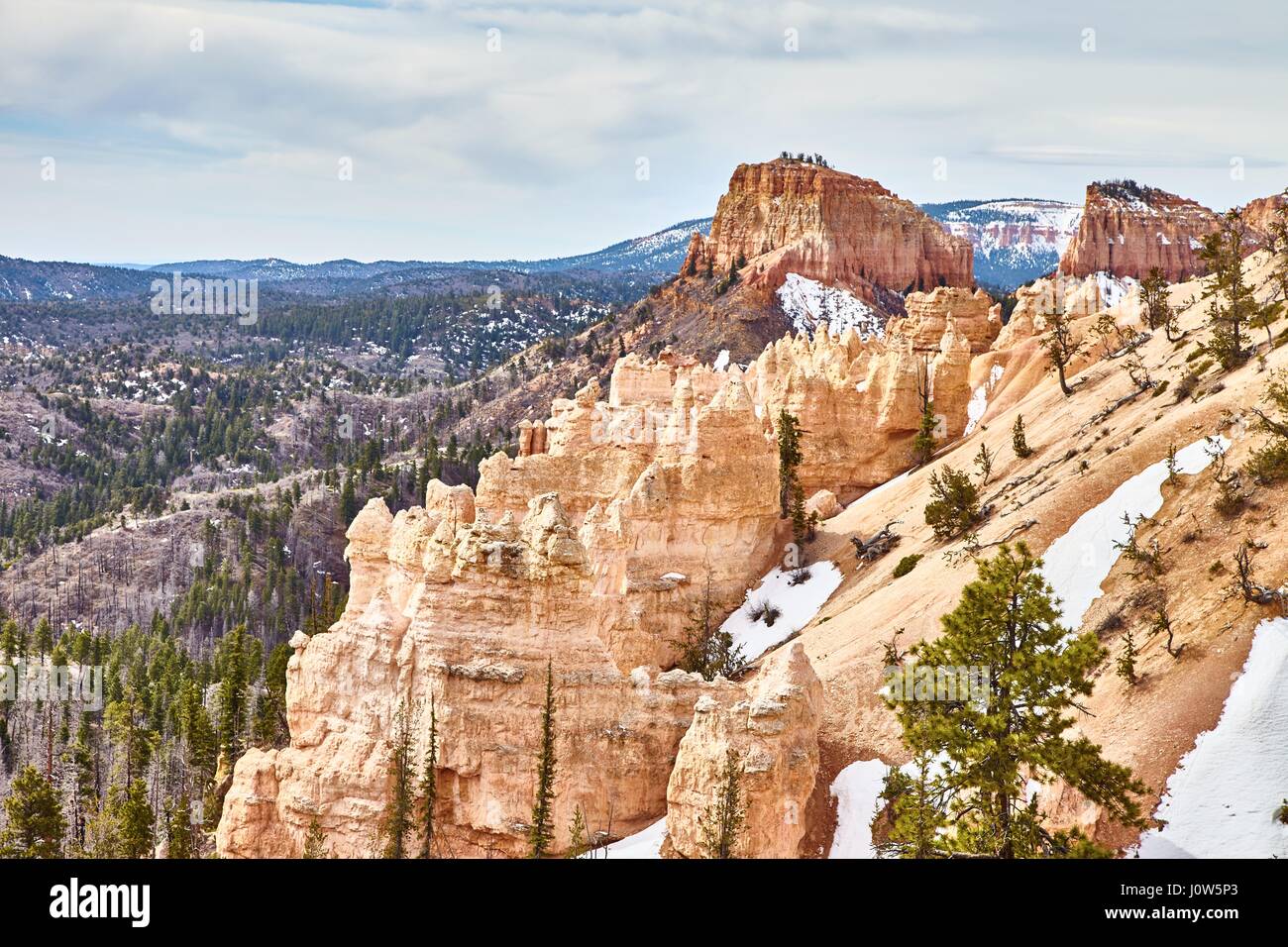 Très beau paysage dans le Parc National de Bryce Canyon, Utah, USA Banque D'Images