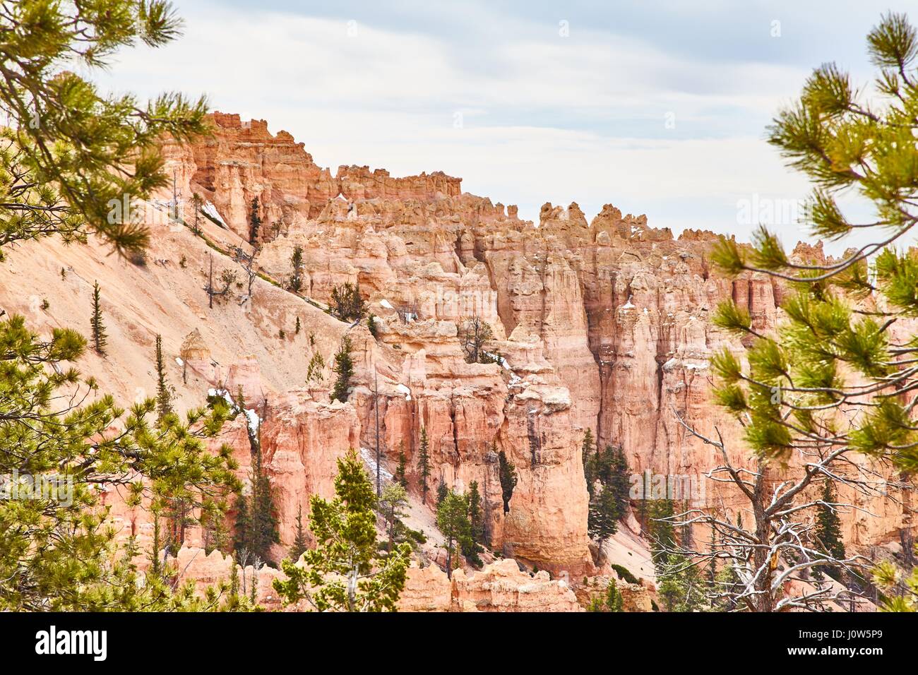 Très beau paysage dans le Parc National de Bryce Canyon, Utah, USA Banque D'Images