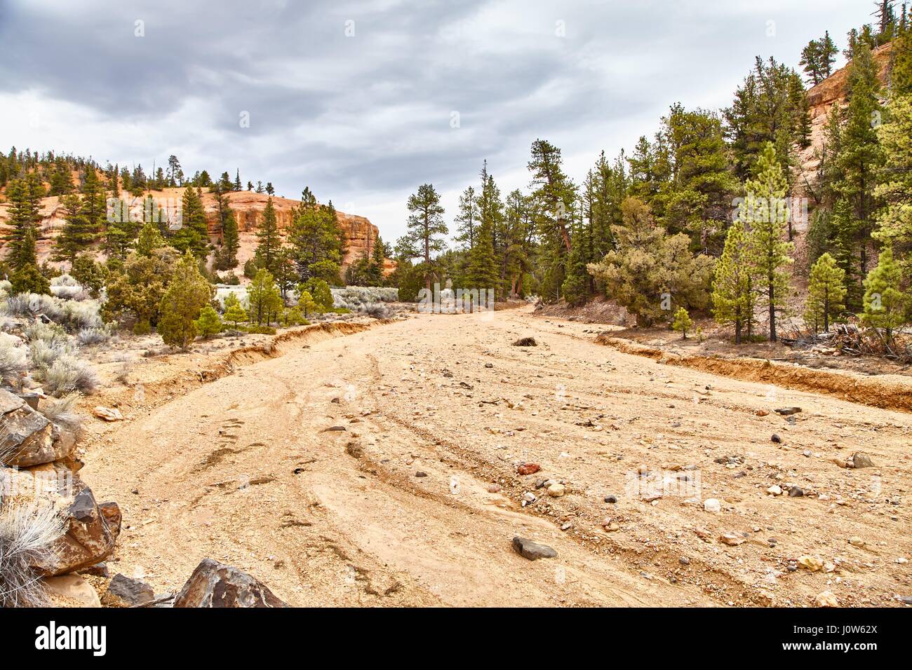 Très beau paysage dans le Parc National de Bryce Canyon, Utah, USA Banque D'Images