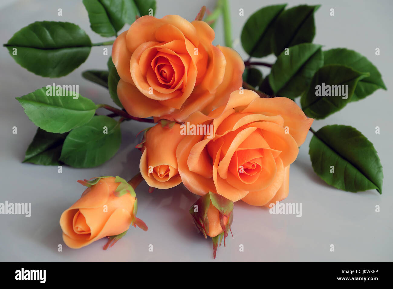 L'argile avec de l'art merveilleux de fleurs roses orange reléter sur fond blanc, de belles fleurs artificielles de l'artisanat Banque D'Images